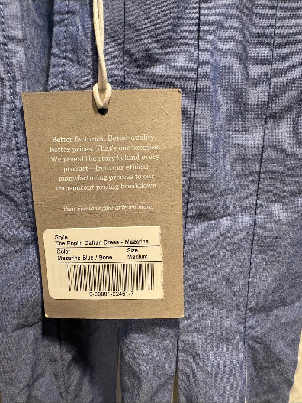 Everlane Blue White Striped poplin maxi caftan with pleats nwt m has pockets - Picture 5 of 13